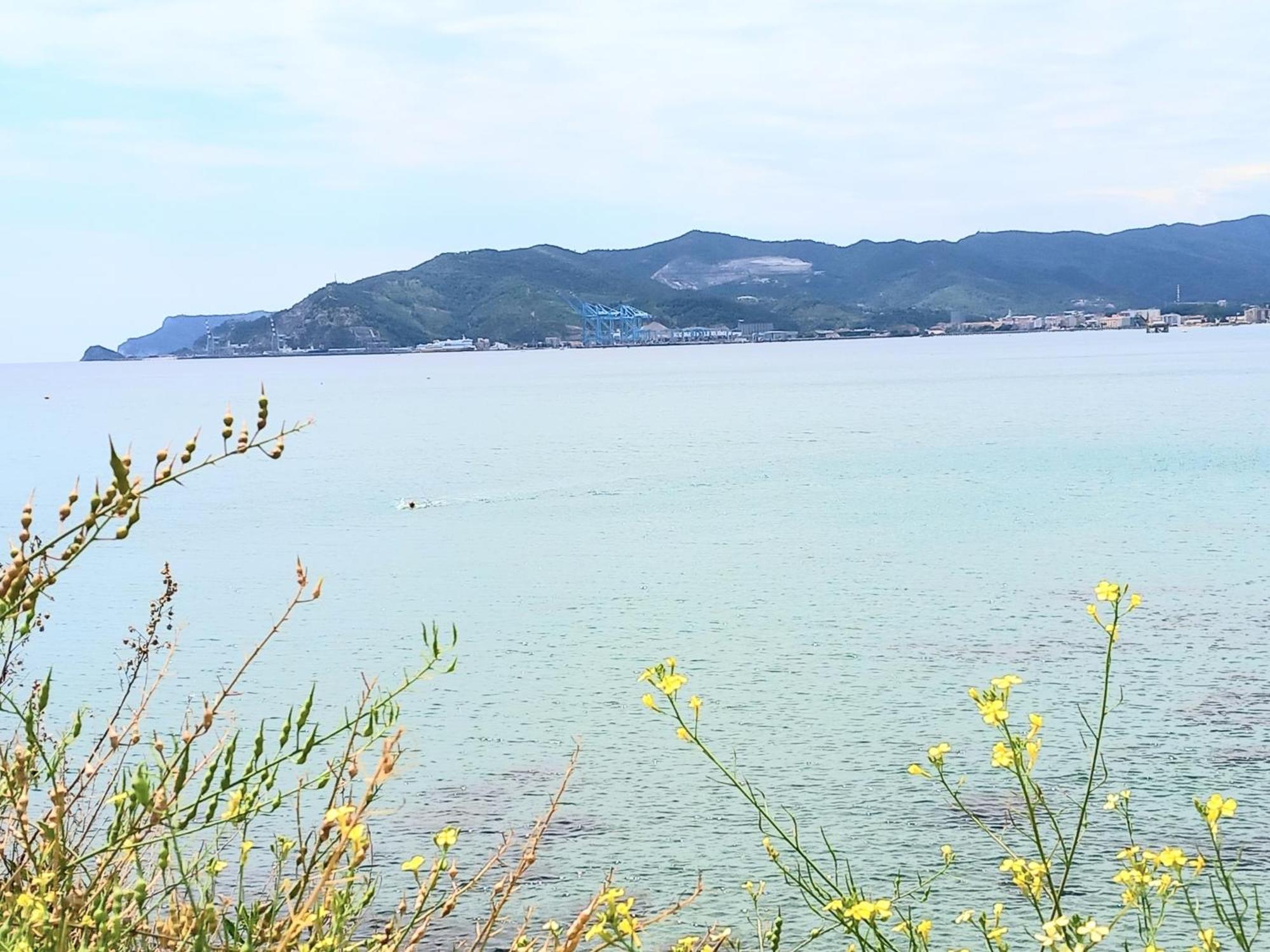 Tramonto Sul Mare - Sea Suite 萨沃纳 外观 照片